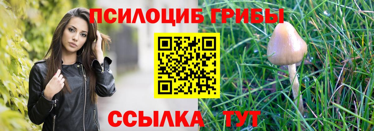 Галлюциногенные грибы прущие грибы  Вход с VPN  Лабинск 